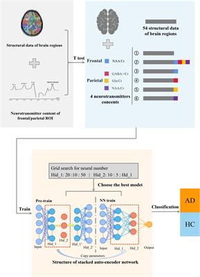 Classification of Alzheimer’s Disease Based on Deep Learning of Brain Structural and Metabolic Data